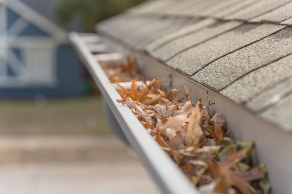Leaf Barrier Installation in Littleton
